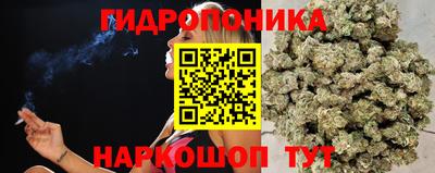 твердый Краснодар