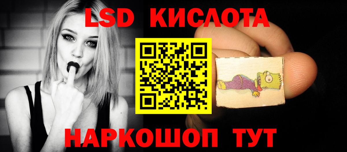 Псилоцибиновые грибы Ижевск