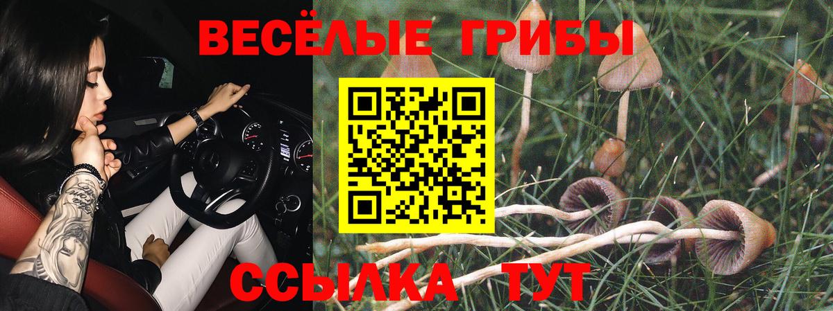 Галлюциногенные грибы прущие грибы Ижевск