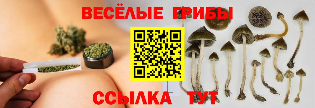 Ижевск  Галлюциногенные грибы Cubensis  где купить наркоту  Вход с VPN  Псилоцибиновые грибы GOLDEN TEACHER 