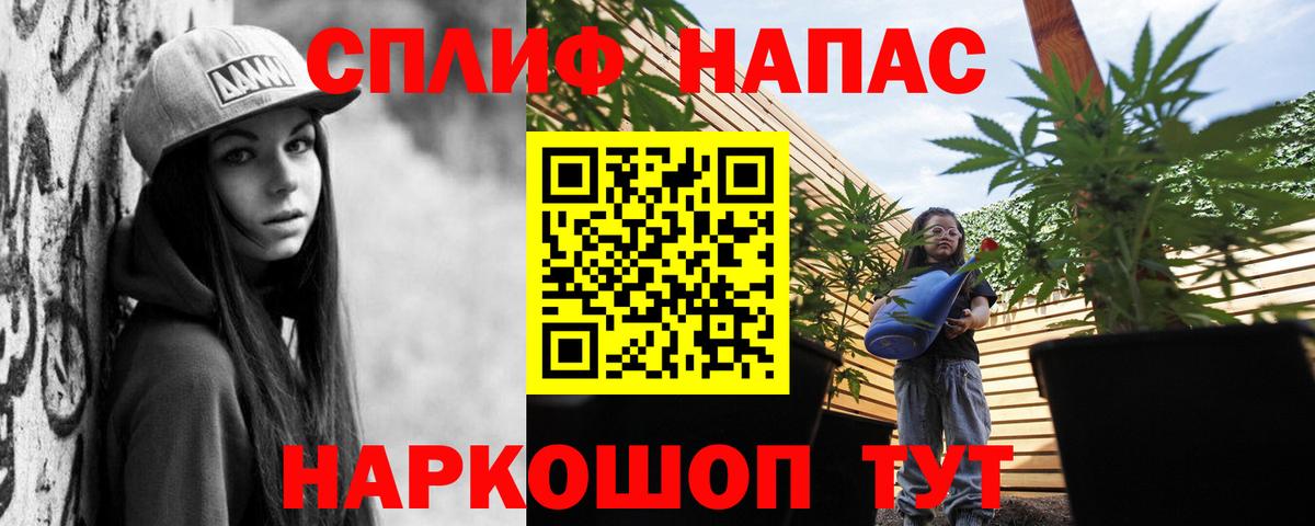 Бошки Шишки сатива Ижевск