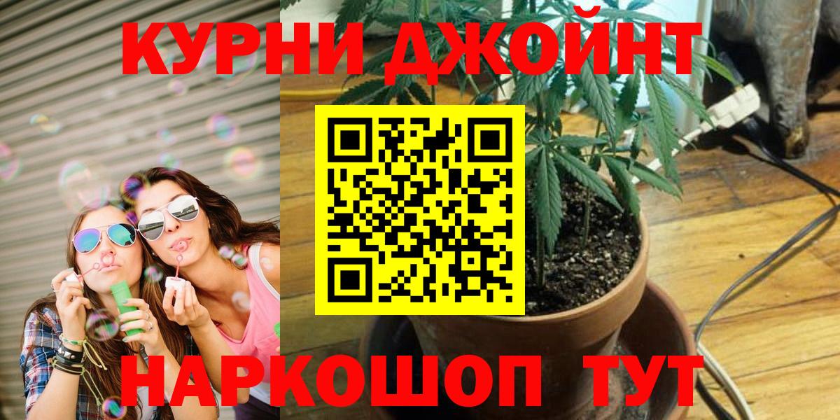 Ижевск  Бошки Шишки семена  МАРИХУАНА ГИДРОПОН  Вход с VPN  Каннабис SATIVA & INDICA 